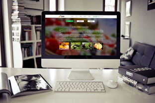 食品公司網(wǎng)頁設(shè)計與廣告設(shè)計的融合 打造品牌吸引力與用戶體驗